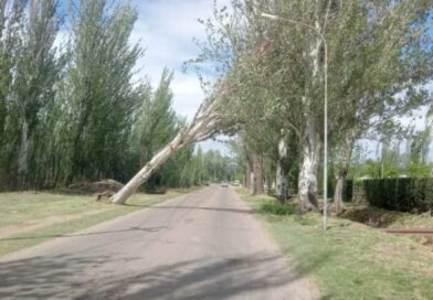 El Zonda golpeó con fuerza a Mendoza