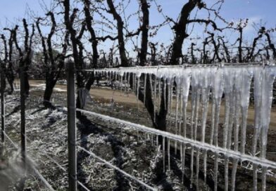 Primeras heladas en San Rafael registran temperaturas de hasta 6 grados bajo cero