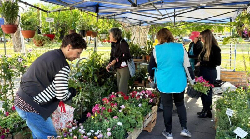La Feria Franca incorporó productos de las escuelas Iaccarini y Martín Güemes