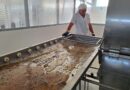 Estrategias locales frente a la compleja coyuntura del sector apícola internacional