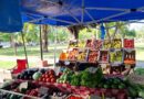 Frutas y verduras locales al mejor precio en la Feria Franca Municipal