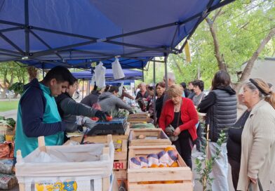 Alumnos de escuelas agrotécnicas continúan trabajando junto a la Feria Franca