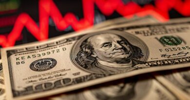 Dólar estable: esperan ingreso de USD 3.000 millones