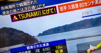 Un terremoto de magnitud 7,5 sacudió las costas de Japón