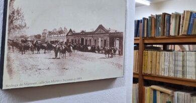 El museo de Historia Natural celebra el Día del Libro con actividades abiertas a la comunidad