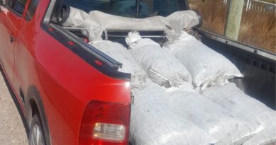 Dos aprehendidos con más de 300 kilos de ciruela sustraída de un secadero