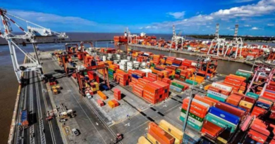 Crecimiento del comercio regional fortalece las exportaciones de Mendoza a Brasil
