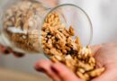 Desafíos y eficiencia en la industria de los frutos secos