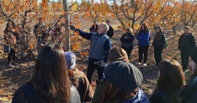Iniciaron las capacitaciones en poda de frutales y vid dictadas por el Municipio y el INTA