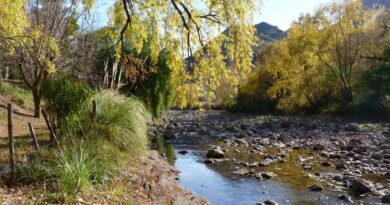 La corta anual del Atuel será la más larga de Mendoza