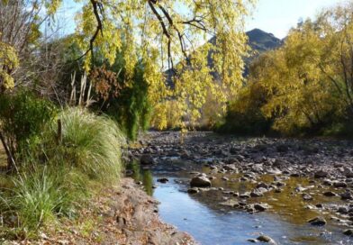 La corta anual del Atuel será la más larga de Mendoza