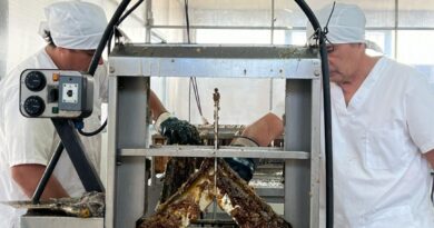 La sala municipal de extracción procesó más de 31 toneladas de miel y el 65% se exportó