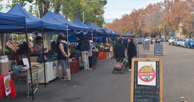 Escuelas junto a la Feria Franca