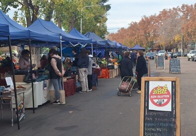 Escuelas junto a la Feria Franca