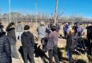 Cientos de sanrafaelinos se capacitaron en el ciclo de poda de vid y frutales
