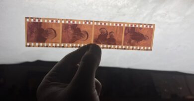 Seis décadas de recuerdos locales buscan su lugar