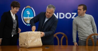 Mendoza continúa fortaleciendo su sistema eléctrico