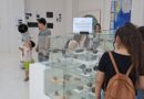 Vacaciones de invierno: el Municipio ofrece actividades para los niños y familias