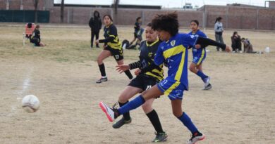 Decenas de chicos coparon el polideportivo N° 2 para el encuentro de mini handball