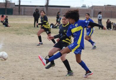 Decenas de chicos coparon el polideportivo N° 2 para el encuentro de mini handball