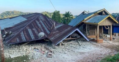 Devastador sismo causa graves destrozos y decenas de víctimas en el sudeste asiático