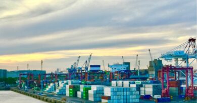 Las exportaciones mendocinas crecieron 17% en volumen y 14% en valor en el primer semestre de 2026