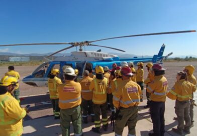 Se abre la convocatoria para contratos temporarios en Áreas Naturales Protegidas, Manejo del Fuego y Náutica