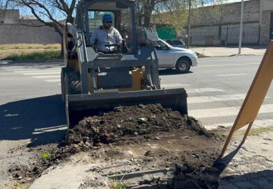 “Súper Niño”: el Municipio de San Rafael intensifica la limpieza y pide colaboración vecinal