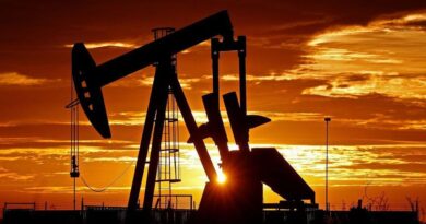Mendoza prorrogó la concesión de áreas hidrocarburíferas de explotación por más de USD 150 millones