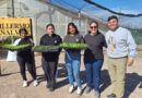 Realizan plantines para vender en la Feria Franca y donar a jardines maternales