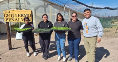 Realizan plantines para vender en la Feria Franca y donar a jardines maternales