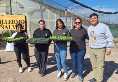 Realizan plantines para vender en la Feria Franca y donar a jardines maternales