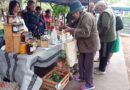 Gran convocatoria en la Feria Franca con los plantines de la escuela gatica