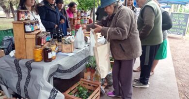 Gran convocatoria en la Feria Franca con los plantines de la escuela gatica