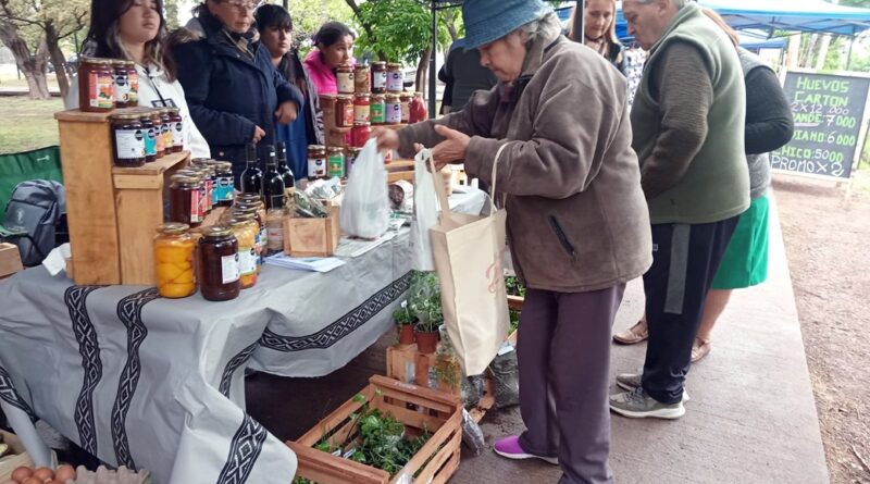Gran convocatoria en la Feria Franca con los plantines de la escuela gatica