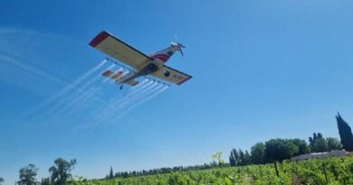 Operativo Lobesia: el Iscamen iniciará el Servicio de tratamientos aéreos en 90.000 hectáreas